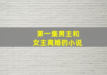 第一集男主和女主离婚的小说