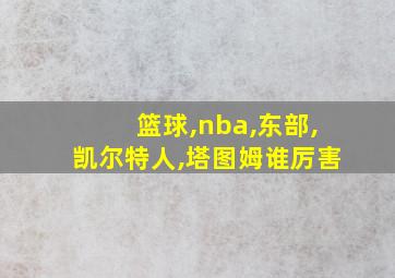 篮球,nba,东部,凯尔特人,塔图姆谁厉害