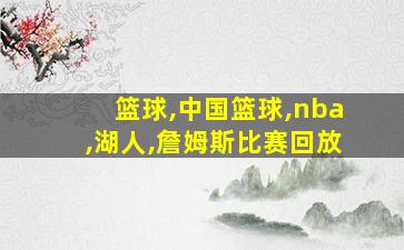 篮球,中国篮球,nba,湖人,詹姆斯比赛回放