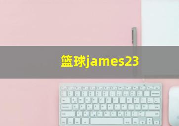 篮球james23