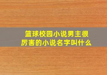 篮球校园小说男主很厉害的小说名字叫什么