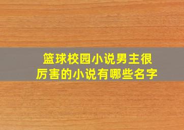 篮球校园小说男主很厉害的小说有哪些名字