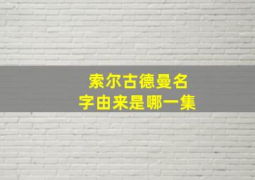 索尔古德曼名字由来是哪一集