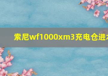 索尼wf1000xm3充电仓进水