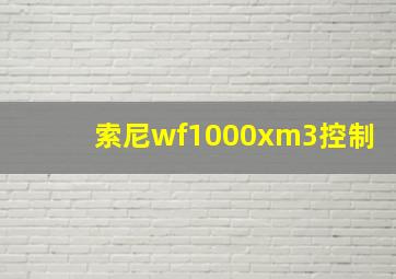 索尼wf1000xm3控制