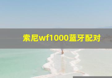 索尼wf1000蓝牙配对