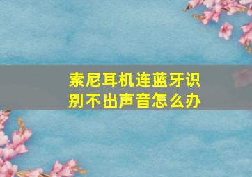 索尼耳机连蓝牙识别不出声音怎么办