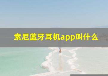 索尼蓝牙耳机app叫什么