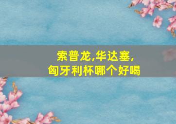 索普龙,华达塞,匈牙利杯哪个好喝