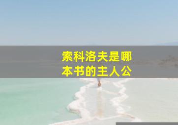 索科洛夫是哪本书的主人公