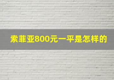 索菲亚800元一平是怎样的