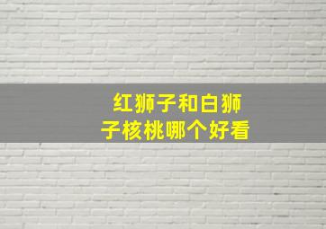 红狮子和白狮子核桃哪个好看