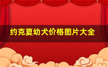 约克夏幼犬价格图片大全