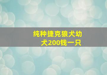 纯种捷克狼犬幼犬200钱一只