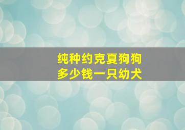 纯种约克夏狗狗多少钱一只幼犬