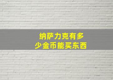 纳萨力克有多少金币能买东西