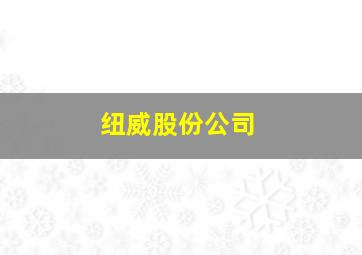 纽威股份公司