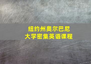 纽约州奥尔巴尼大学密集英语课程