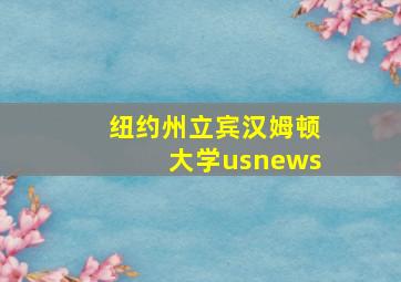 纽约州立宾汉姆顿大学usnews