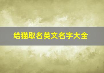 给猫取名英文名字大全