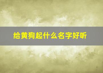 给黄狗起什么名字好听