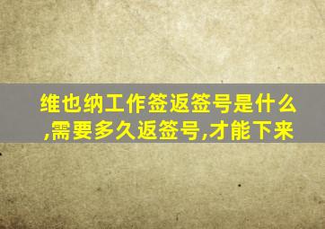 维也纳工作签返签号是什么,需要多久返签号,才能下来