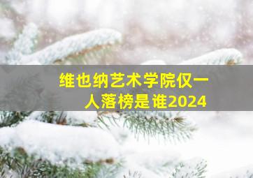 维也纳艺术学院仅一人落榜是谁2024