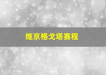 维京格戈塔赛程