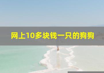 网上10多块钱一只的狗狗