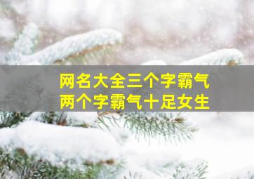 网名大全三个字霸气两个字霸气十足女生