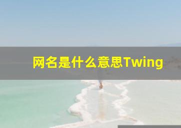 网名是什么意思Twing