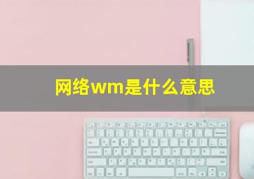 网络wm是什么意思