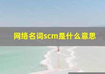 网络名词scm是什么意思