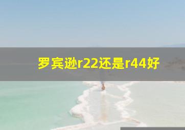 罗宾逊r22还是r44好