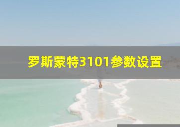 罗斯蒙特3101参数设置