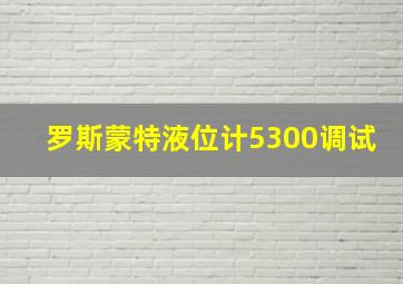 罗斯蒙特液位计5300调试