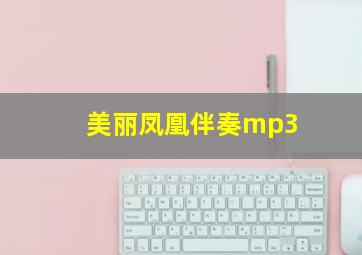 美丽凤凰伴奏mp3