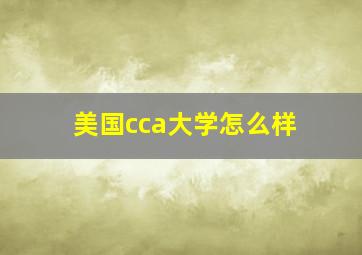 美国cca大学怎么样