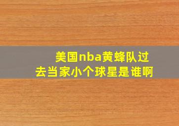 美国nba黄蜂队过去当家小个球星是谁啊