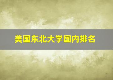 美国东北大学国内排名