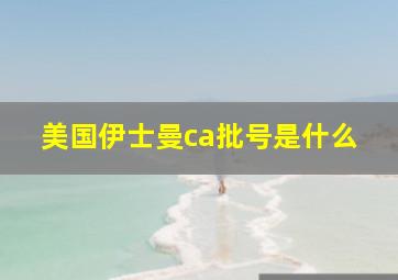 美国伊士曼ca批号是什么