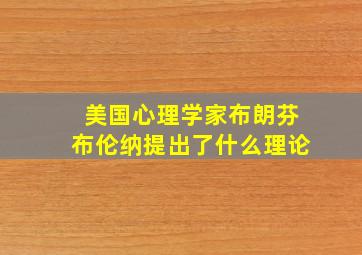 美国心理学家布朗芬布伦纳提出了什么理论