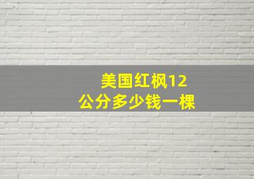 美国红枫12公分多少钱一棵