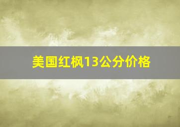 美国红枫13公分价格