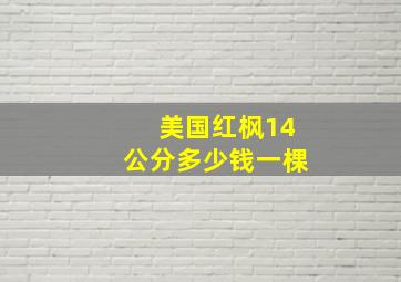 美国红枫14公分多少钱一棵