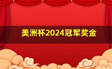 美洲杯2024冠军奖金