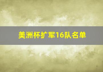 美洲杯扩军16队名单