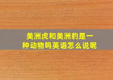 美洲虎和美洲豹是一种动物吗英语怎么说呢