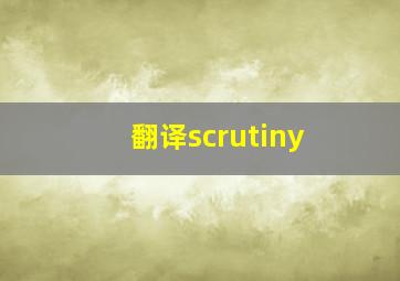 翻译scrutiny