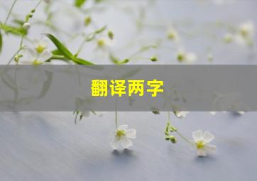 翻译两字